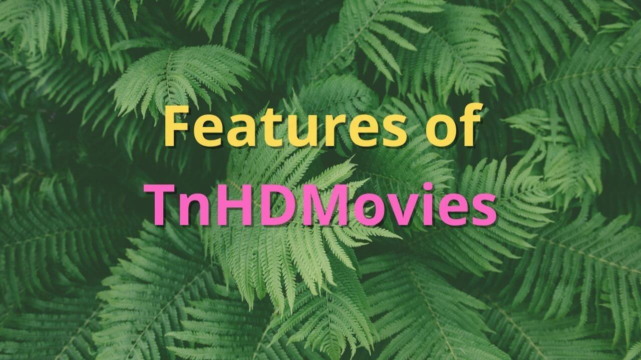 How TnHdMovies site works?